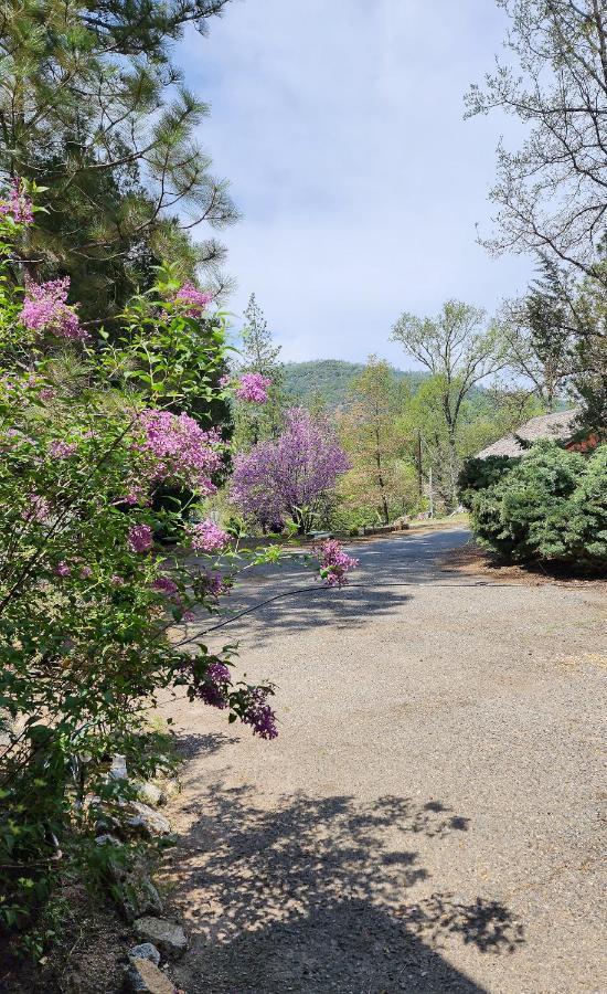 Yosemite Mountain Retreat Lodge Oakhurst